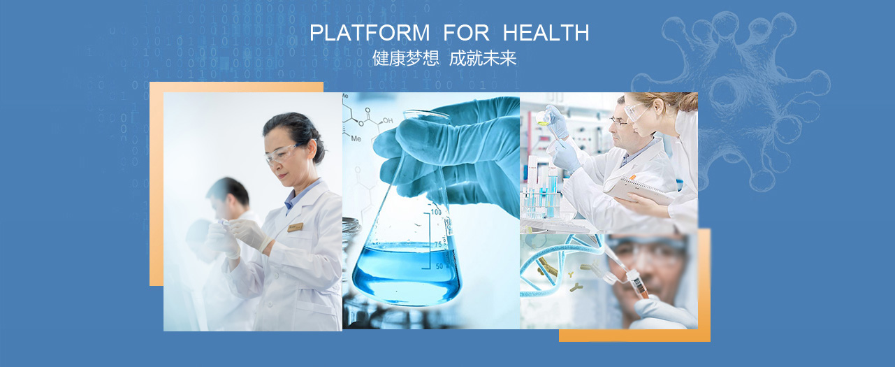公司简介