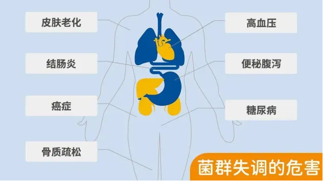菌群失衡，隐藏在身体内的“疾病触发器”！