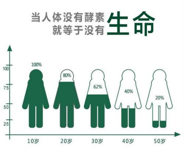 没有酵素就没有生命