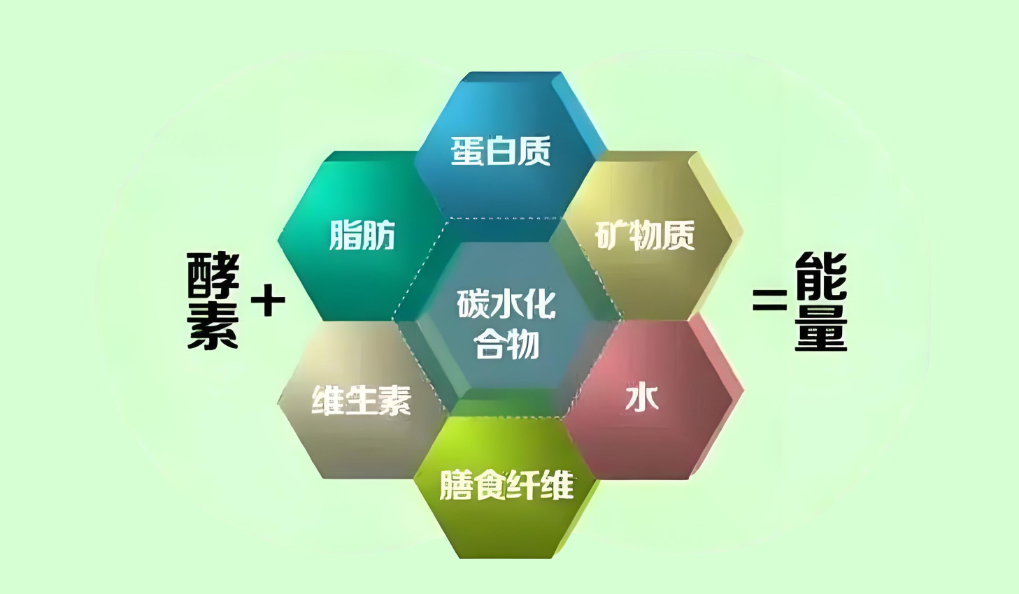 酵素不足——现代人代谢危机的隐形元凶！