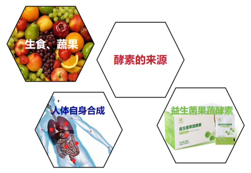 人体酵素的三大来源