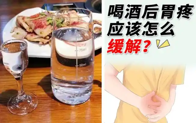 应酬后胃难受?益生菌酵素来救场!