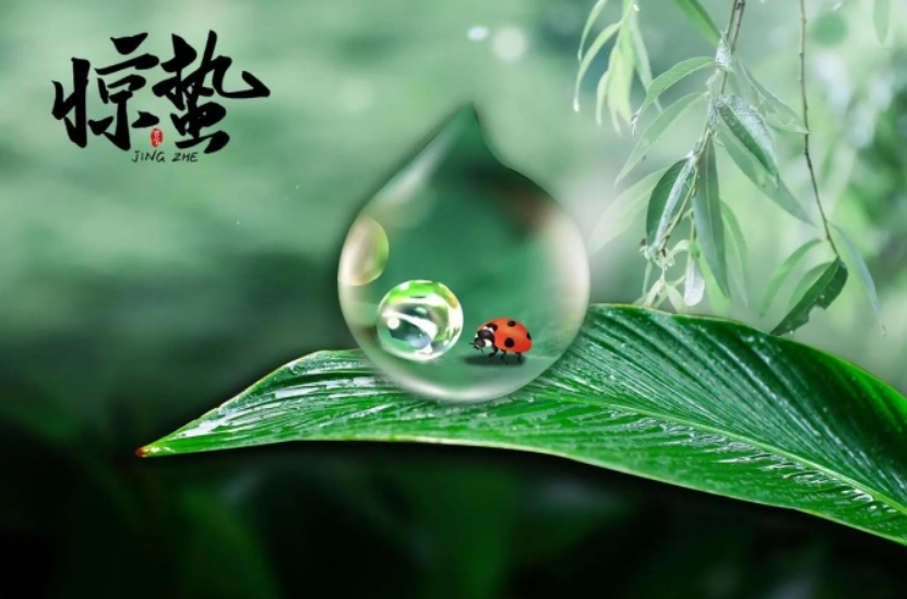 惊蛰到,肝气旺,湿气生!3 款食材+益生菌酵素,养出春日好状态!