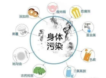 人体毒素的“来”与“去”