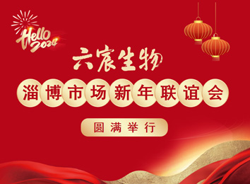 六宸生物淄博市场新年联欢会圆满举行