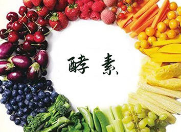 养生调理，益生菌酵素比药还重要!
