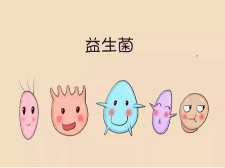 服用益生菌的注意事项！