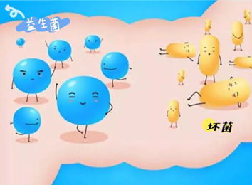 益生菌是怎样打败致病菌的？