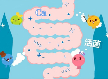 益生菌能够促进钙吸收吗？