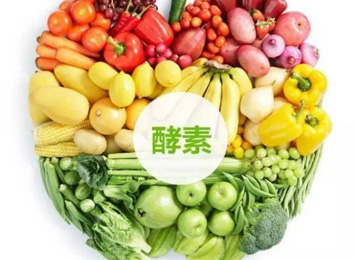 缺乏酵素对人体九大系统的危害