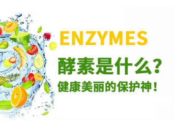 酵素是健康美丽的保护神！
